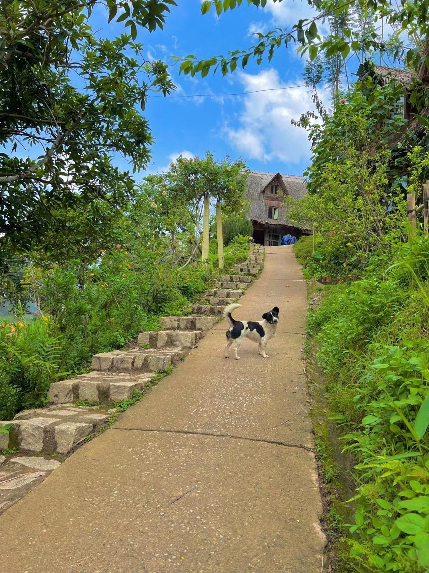 Vuon Nha Cui Homestay Đà Lạt Exterior foto
