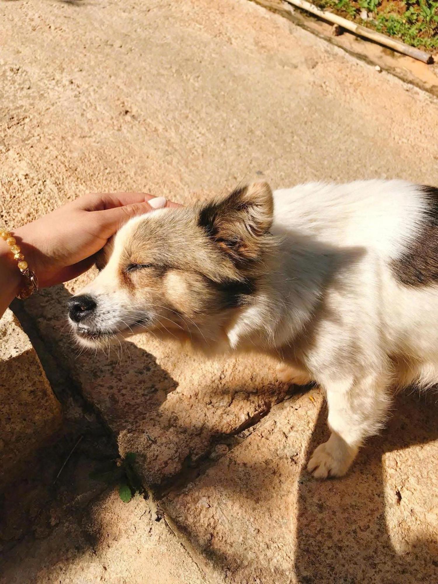 Vuon Nha Cui Homestay Đà Lạt Exterior foto